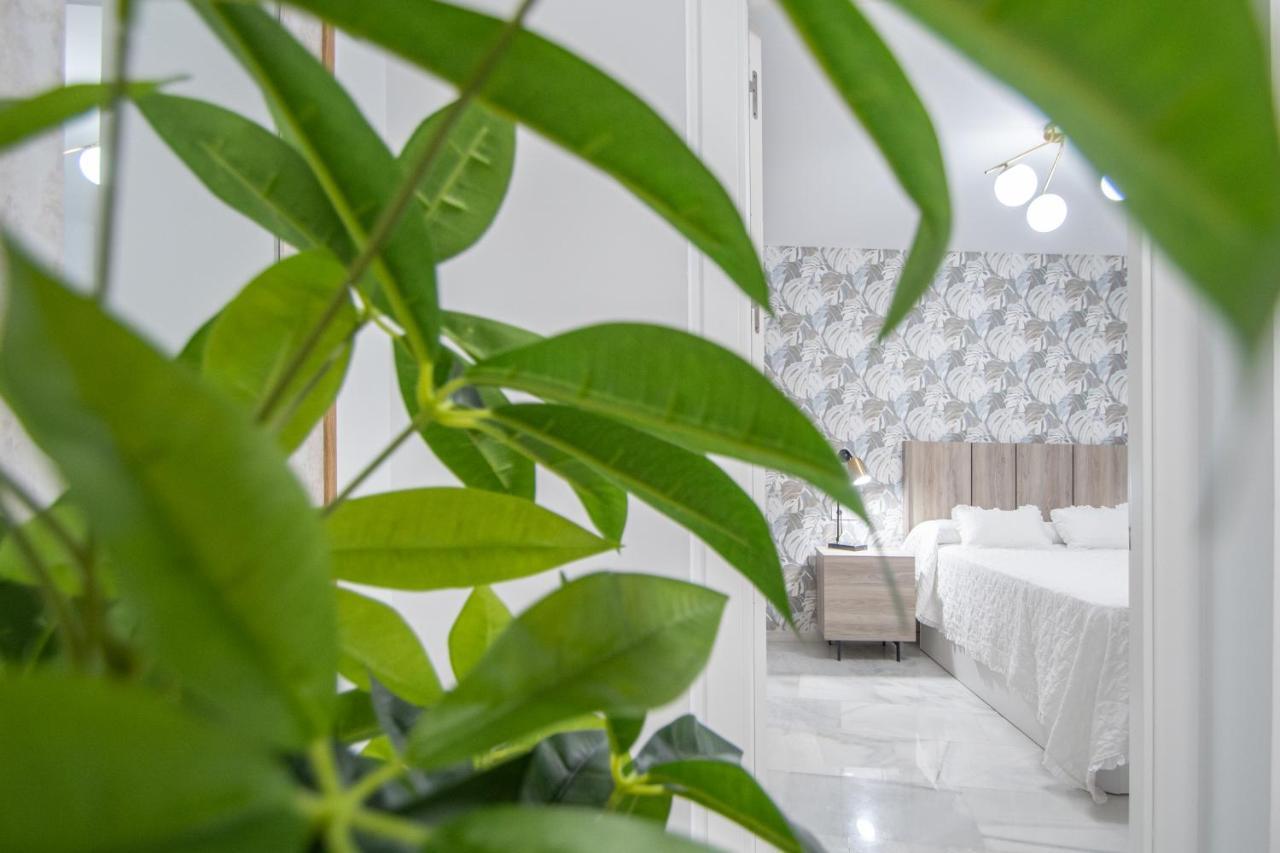 Apartamento La Magnolia De Cadix Extérieur photo
